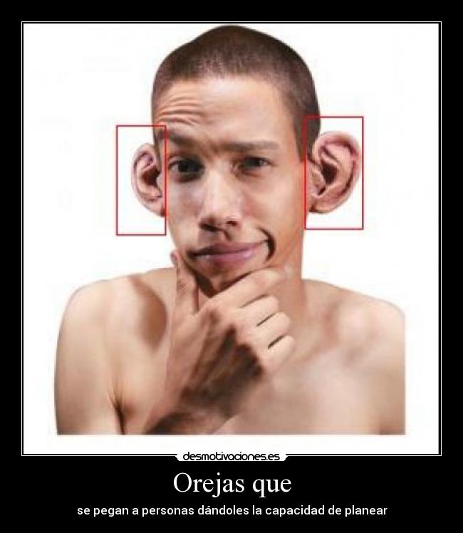 Orejas que -