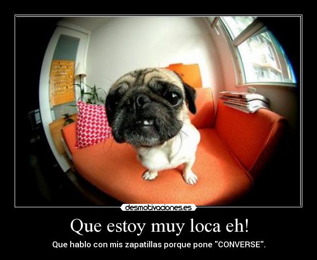 Que estoy muy loca eh! - Que hablo con mis zapatillas porque pone CONVERSE.