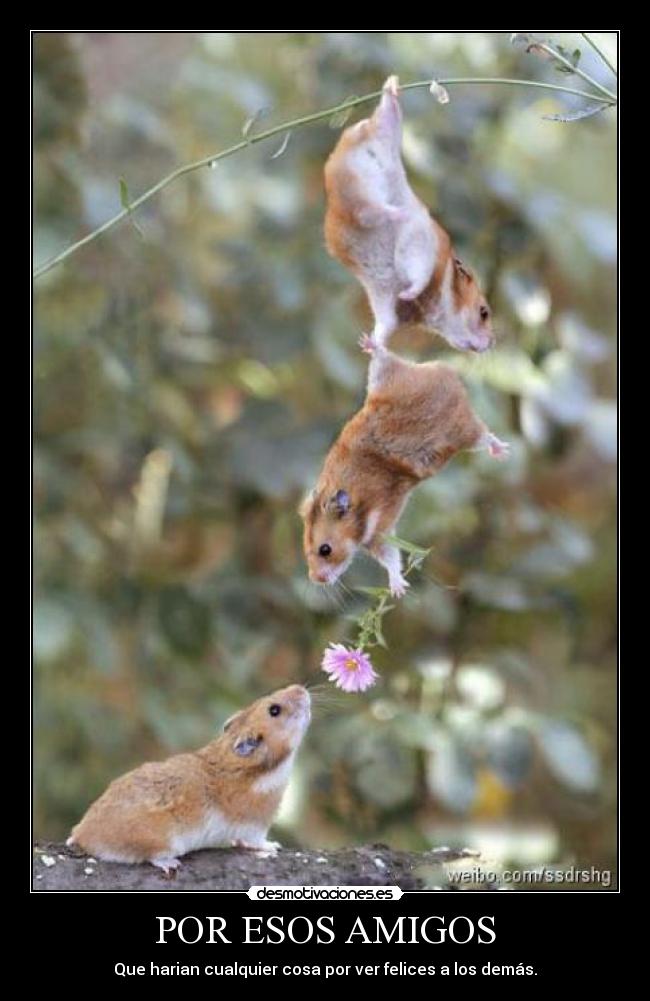 POR ESOS AMIGOS -