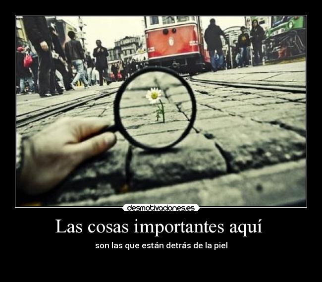 Las cosas importantes aquí - son las que están detrás de la piel