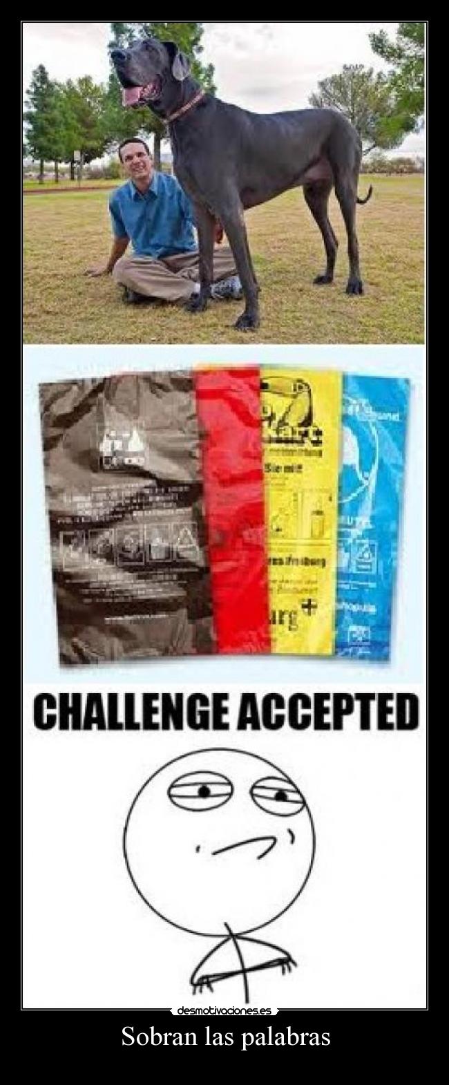 Sobran las palabras -                                                                                          