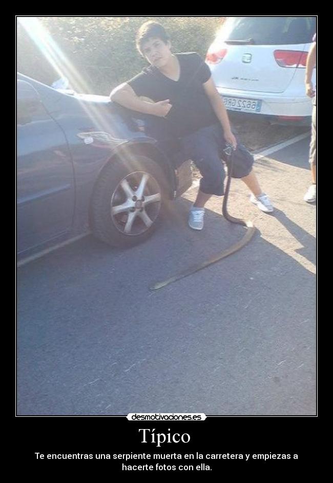 Típico  - Te encuentras una serpiente muerta en la carretera y empiezas a
hacerte fotos con ella.