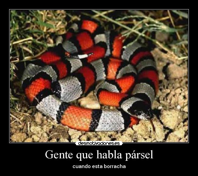 Gente que habla pársel - 