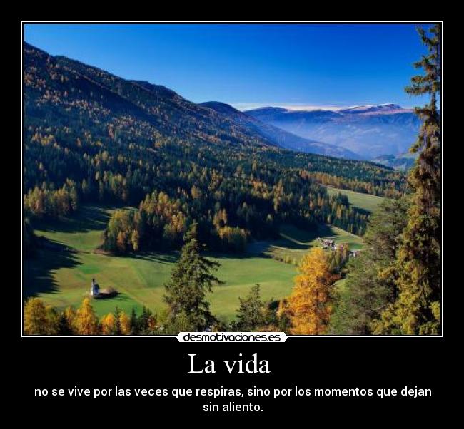 La vida -