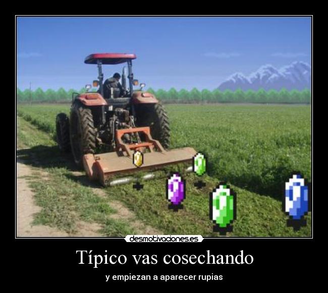 Típico vas cosechando -