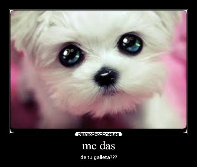 me das -