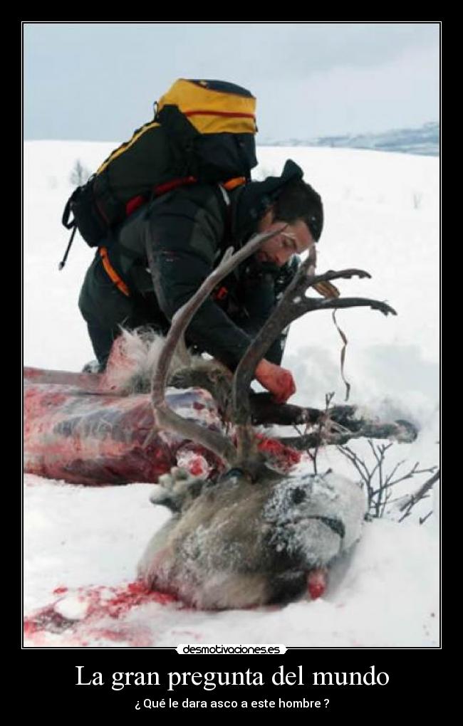 La gran pregunta del mundo -