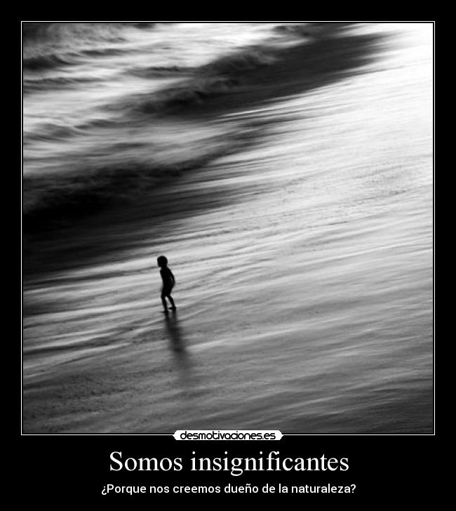 Somos insignificantes - 