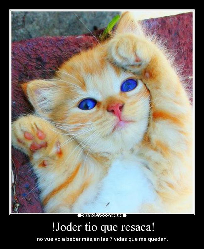 carteles beber desmotivaciones