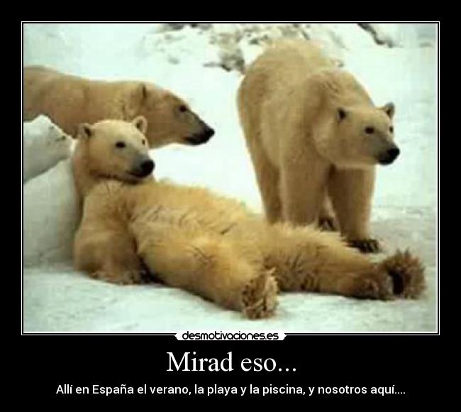 Mirad eso... - Allí en España el verano, la playa y la piscina, y nosotros aquí....