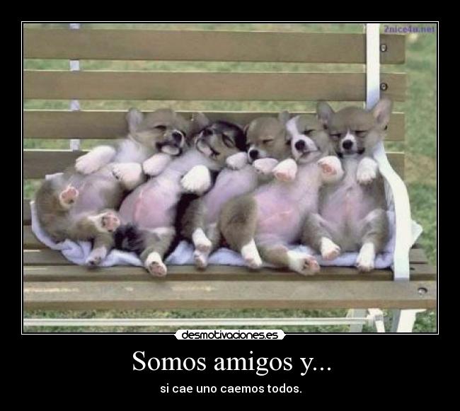 Somos amigos y... -
