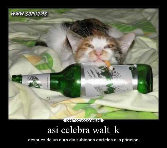 asi celebra walt_k - 