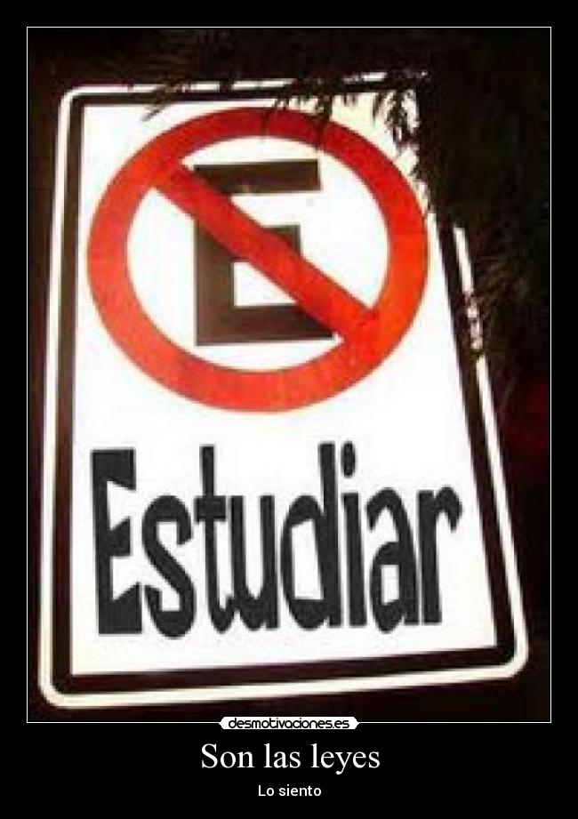 Son las leyes - 