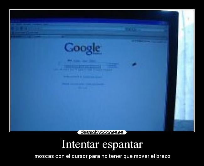 carteles mooooscas desmotivaciones