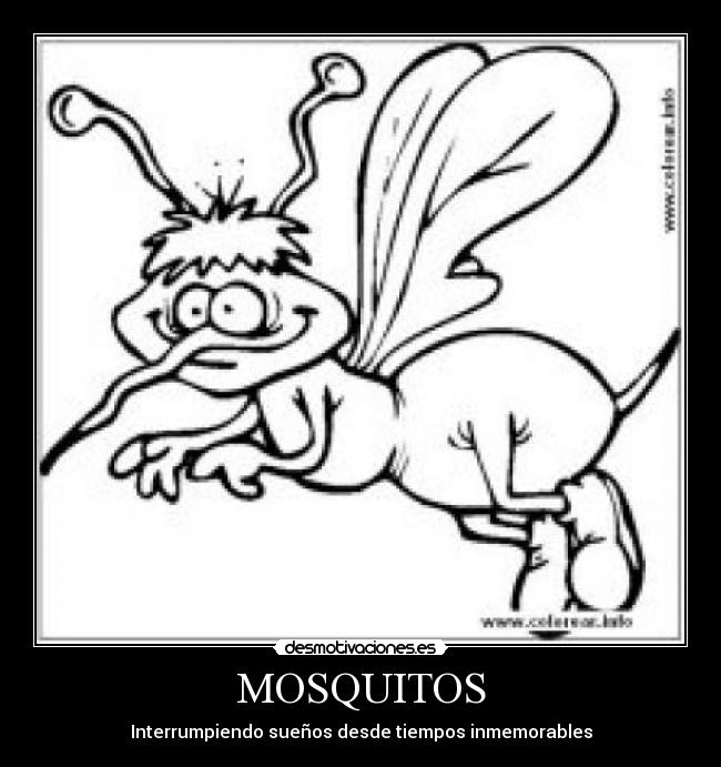MOSQUITOS -