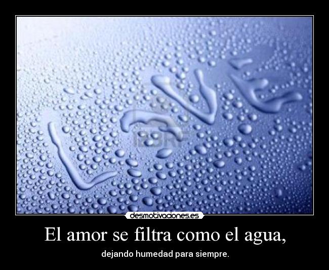 El amor se filtra como el agua, - 