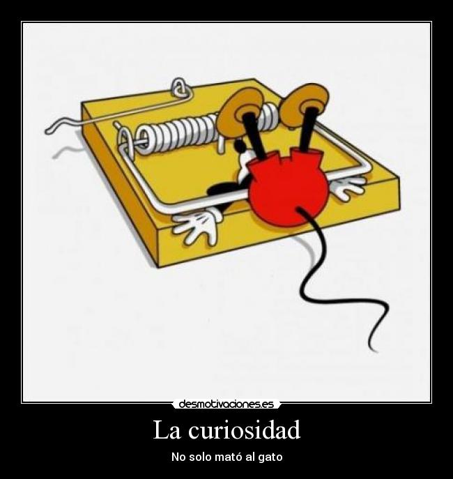 La curiosidad - No solo mató al gato