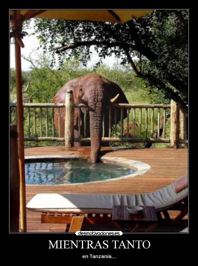 MIENTRAS TANTO - en Tanzania....
