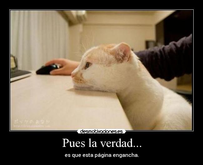 Pues la verdad... - es que esta página engancha.