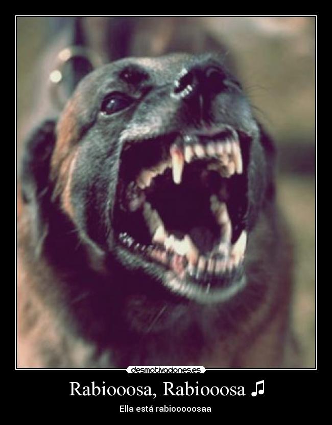 Rabiooosa, Rabiooosa ♫ - Ella está rabiooooosaa ♫