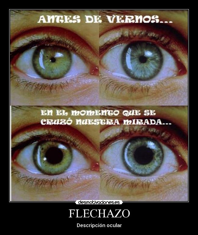 FLECHAZO - Descripción ocular
