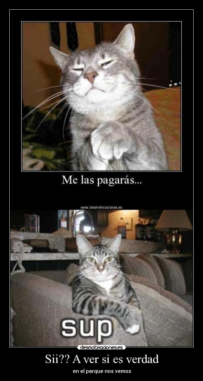 Sii?? A ver si es verdad - 