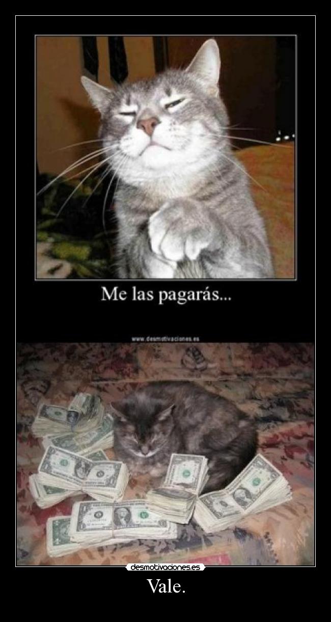 carteles gatos desmotivaciones