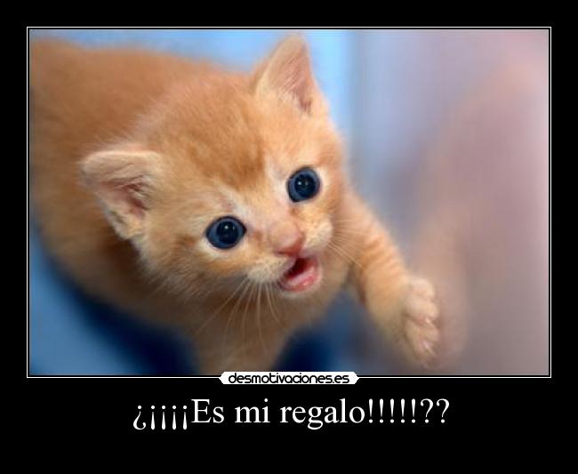 ¿¡¡¡¡Es mi regalo!!!!!?? - 