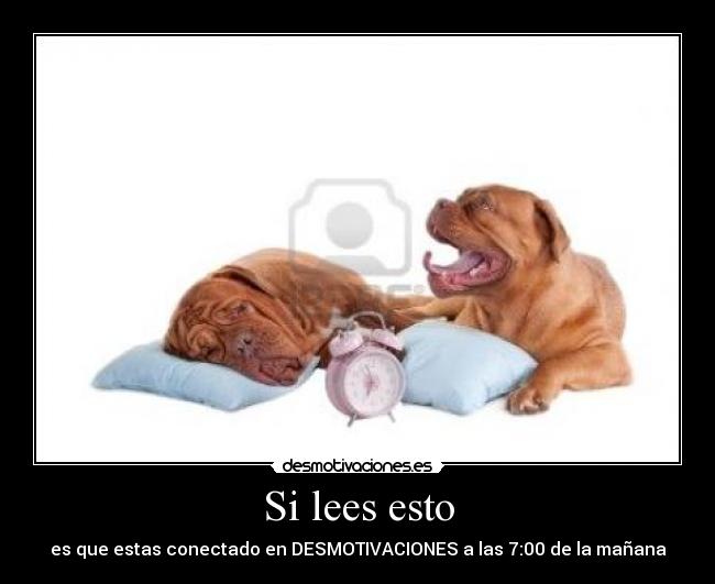 Si lees esto - es que estas conectado en DESMOTIVACIONES a las 7:00 de la mañana