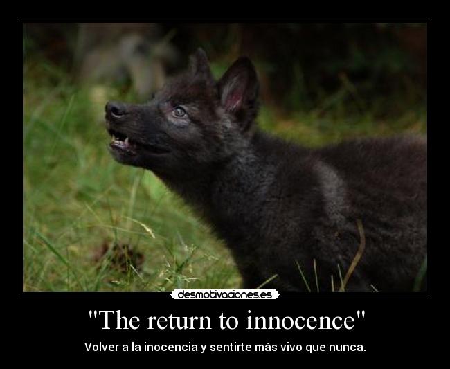 The return to innocence - Volver a la inocencia y sentirte más vivo que nunca.