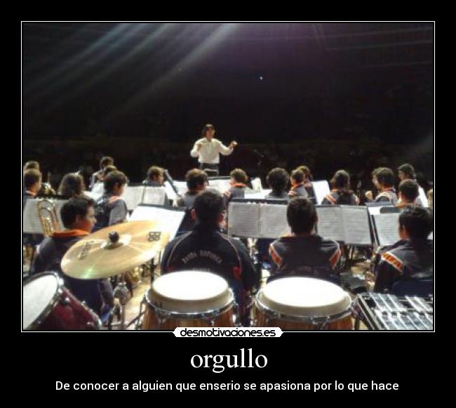 carteles orgullo desmotivaciones