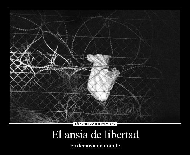 carteles libertad ansia libertad desmotivaciones