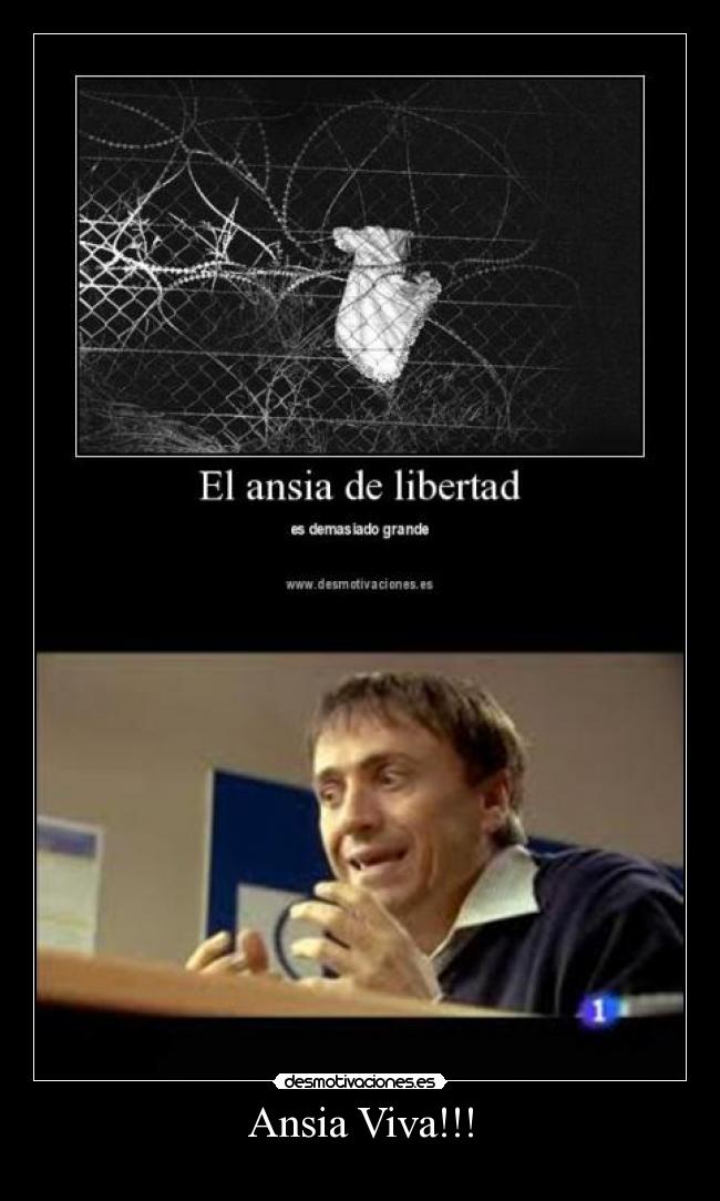 Ansia Viva!!! -