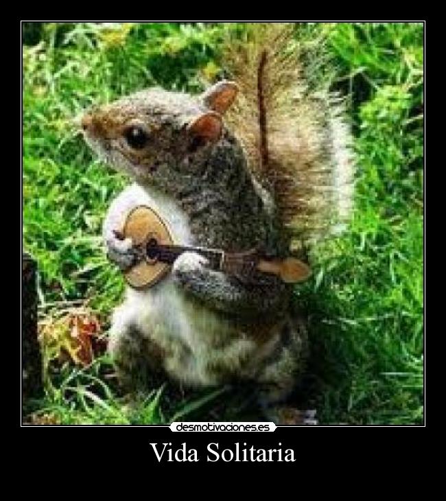 Vida Solitaria -