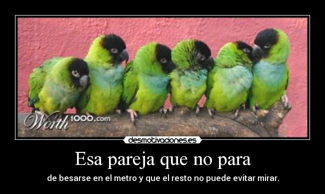 Esa pareja que no para - 