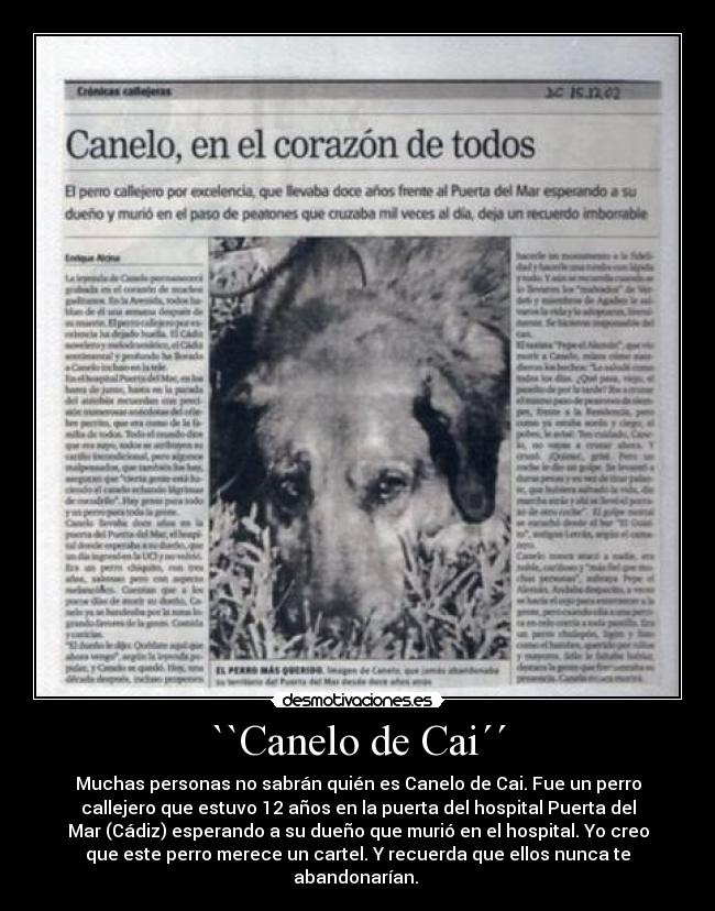 carteles perro tristeza muerte canelo cai hospital duenos desmotivaciones mascotas perros callejeros desmotivaciones