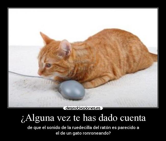 ¿Alguna vez te has dado cuenta -