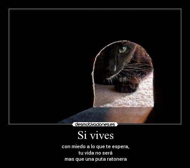 Si vives -