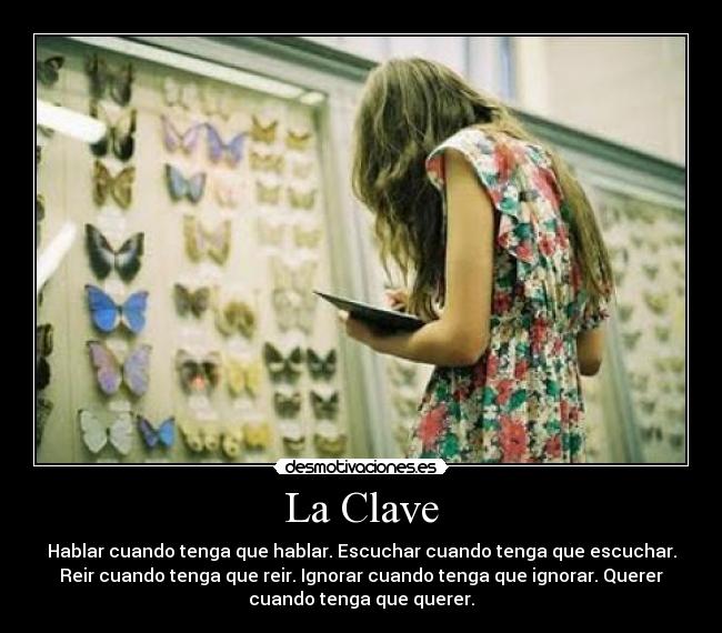 carteles lenu desmotivaciones