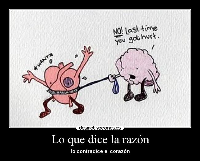 Lo que dice la razón -
