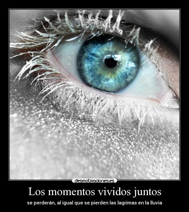 Los momentos vividos juntos - 
