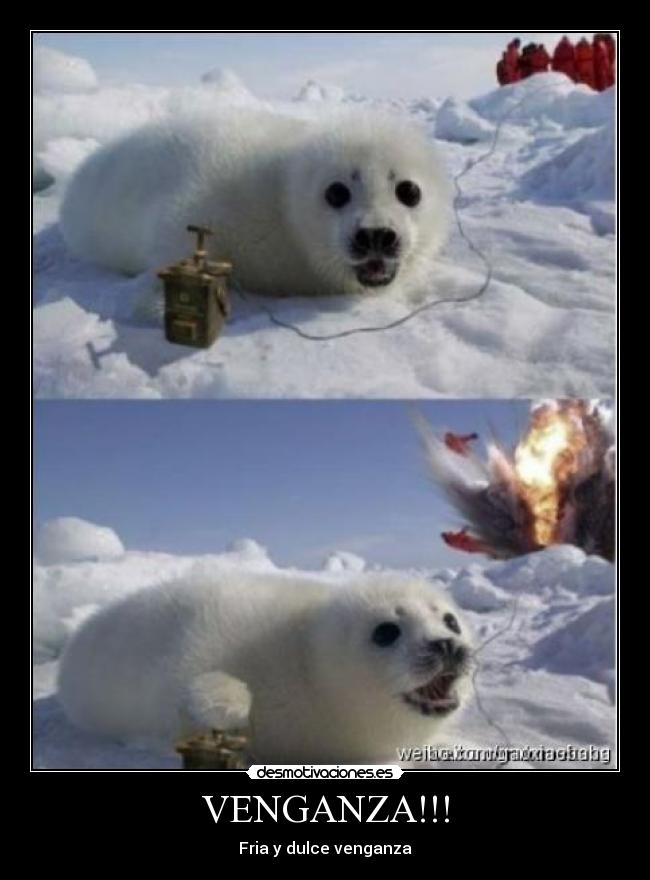 VENGANZA!!! - 