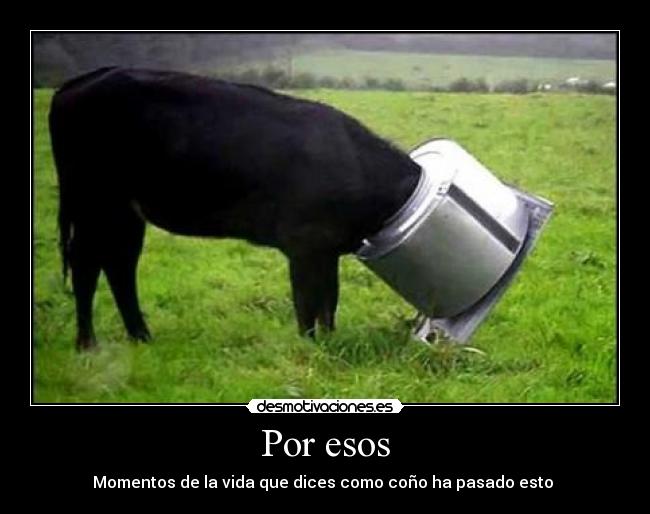 carteles vacacomo pasado estopasadoestomomentos desmotivaciones