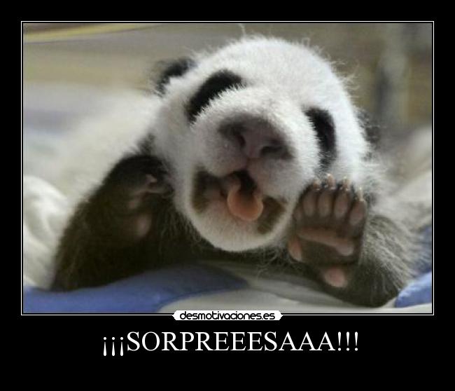 ¡¡¡SORPREEESAAA!!! -