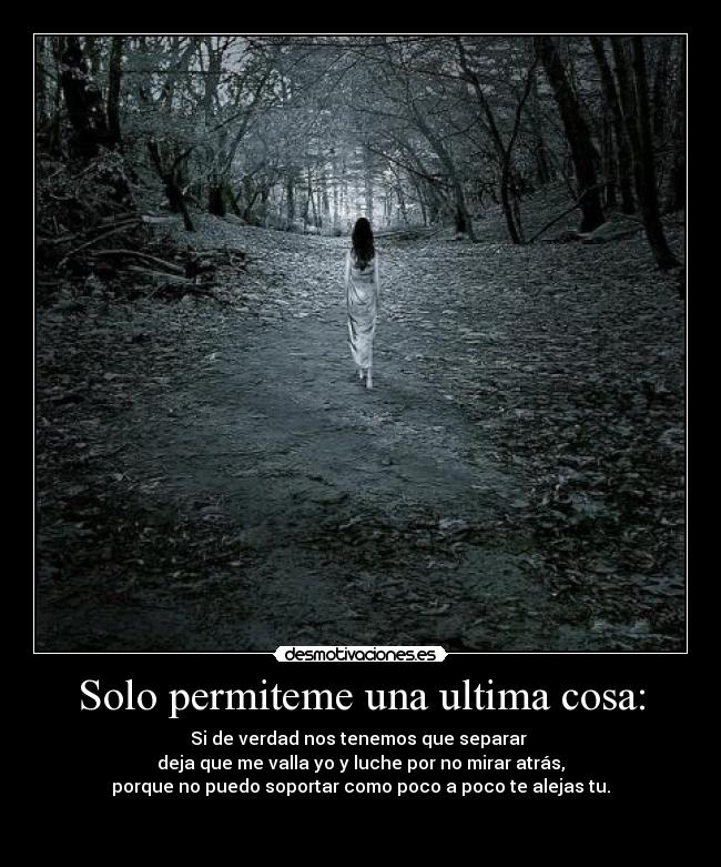 Solo permiteme una ultima cosa: - Si de verdad nos tenemos que separar
deja que me valla yo y luche por no mirar atrás,
porque no puedo soportar como poco a poco te alejas tu.