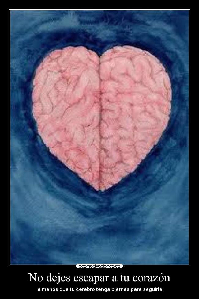 No dejes escapar a tu corazón - 