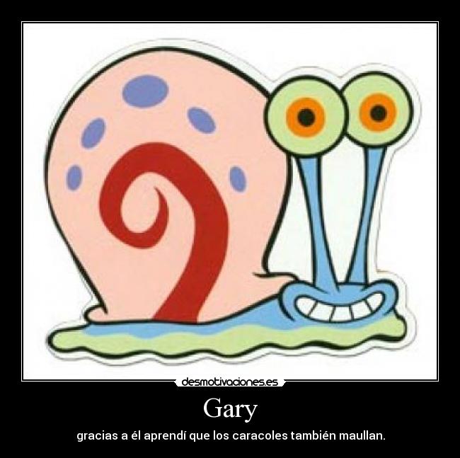 Gary - gracias a él aprendí que los caracoles también maullan.