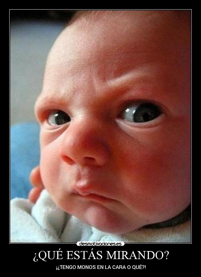 ¿QUÉ ESTÁS MIRANDO? -