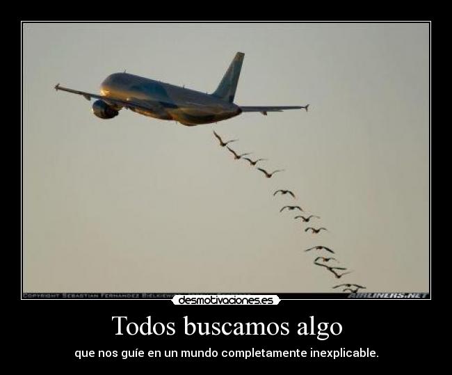 Todos buscamos algo -