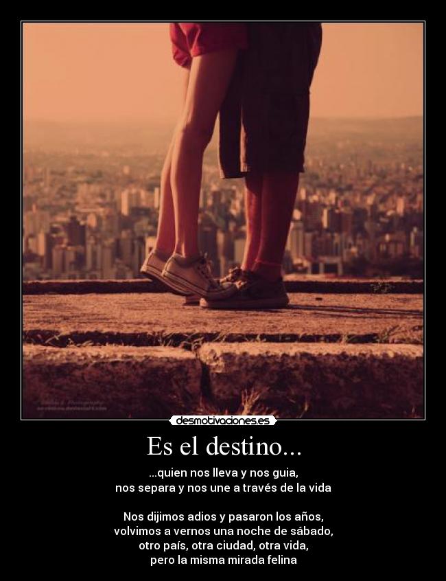 Es el destino... - ...quien nos lleva y nos guia,
nos separa y nos une a través de la vida

Nos dijimos adios y pasaron los años,
volvimos a vernos una noche de sábado,
otro país, otra ciudad, otra vida,
pero la misma mirada felina